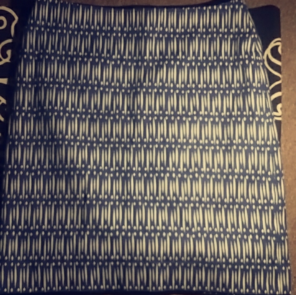 Ann Taylor Pencil Skirt